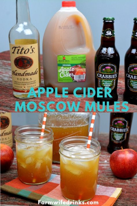 Apple Cider Moscow Mule Recipe Pitcher, Apple Mule Ginger Beer, Apple Cider Mule Ginger Beer, Fall Moscow Mule Pitcher Recipe, Apple Cider Moscow Mule Recipe, Apple Cider Moscow Mule Pitcher, Thanksgiving Cocktails Pitcher, Apple Cider Vodka Punch, Apple Cider Ginger Beer