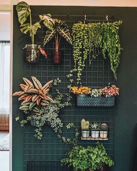 No room for plants? Take things vertical. These gorgeous hanging garden ideas are the best way to turn any small space into an indoor jungle. Indoor Garden Apartment, Modern Driveway, Indoor Plant Wall, Plant Wall Decor, Vertical Gardens, Modern Backyard, Apartment Garden, Plant Shelves, Decor Minimalist