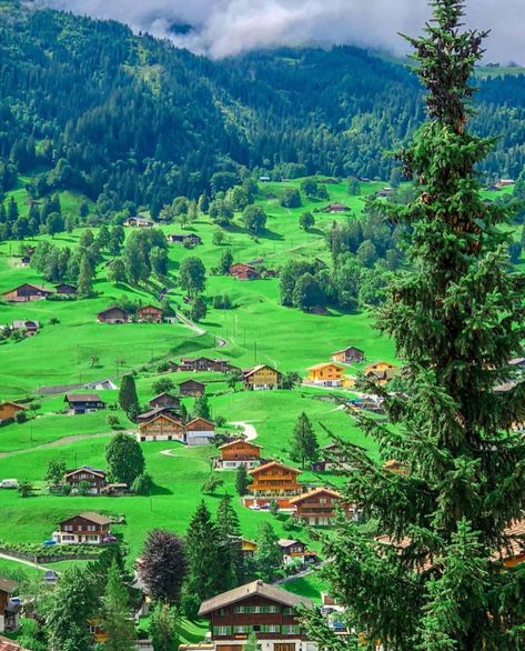 Wonderful Places on Instagram: “Summer in Grindelwald - Switzerland ✨💚💚💚✨ So lush and so green! . Pictures by ✨✨@takemyhearteverywhere✨✨ #wonderful_places for a feature 💚” Alpine Meadow, Destination Voyage, Enjoy Nature, We Fall In Love, Travel Insurance, Mykonos, Solo Travel, Wonderful Places, Beautiful Views