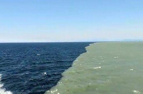 Footage Of Natural Phenomena Between Two Oceans Will Leave You Speechless - Awesome Ocean Two Oceans Meet, Earth At Night, Gulf Of Alaska, Ocean Horizon, Rio Carnival, Open Ocean, Animal Education, Natural Phenomena, Awesome Things