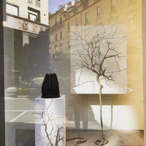 JIL SANDER, Via Pietro Verri, Milan, Italy, "Like branches on a tree, we may grow in different directions, yet our roots remain as one", photo by Maurizio Vasile, pinned by Ton van der Veer Aesop Window Display, Glossier Window Display, Byredo Store Display, Jil Sander Window Display, Jacquemus Window Display, Storefront Signage, Minimal Windows, Window Display Retail, Wood Branch