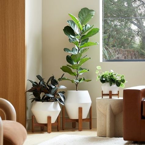 planter | West Elm Wood Planter, Urn Planters, Indoor Outdoor Planter, Modern Planters, Planter Stand, Turned Wood, Wood Planters, Geometric Form, Wooden Stand