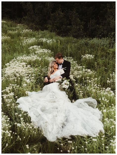 Albion Basin Bridals, Field Bridal Portraits, Flower Field Wedding Photos, Albion Basin Photography, Wedding In Flower Field, Utah Mountain Wedding, Flower Field Wedding, Field Wedding Photos, Wedding Field