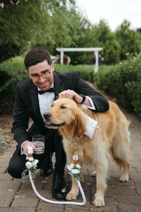 Caroline and Matt's sweet dog, Maisy, was there for the first look and served as the ring bearer, stopping to greet guests as she made her way down the aisle. Always love photographing dog-friendly weddings. #oregonweddingphotographer Wedding Dog Ring Bearer, Dog Wedding Ring Bearer, Dog As Ring Bearer, Dog Ring Bearer Ideas, Dog At Wedding, Dog Ring Bearer, Dog In Wedding, Ring Bearer Boy, Dog Wedding Attire