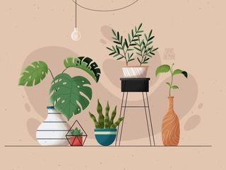 Irene Neyman | Dribbble Computer Wallpaper Desktop Wallpapers, Cute Laptop Wallpaper, Iphone Wallpaper Hipster, Desktop Wallpaper Art, Desktop Wallpapers Backgrounds, Plant Wallpaper, Macbook Wallpaper, Aesthetic Desktop Wallpaper, Plant Art