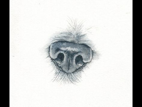 Animal Noses, Dog Portraits Painting, Tattoo Dog, Nose Drawing, Dog Nose, Ink In Water, Desenho Tattoo, Watercolor Dog, Dog Tattoos