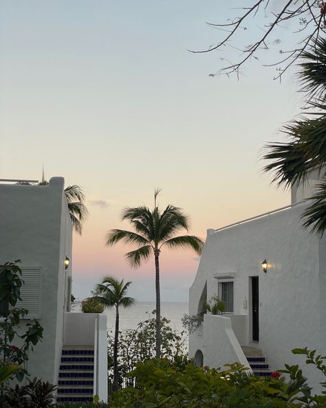 Sunrise | palm tree | pink sky | ocean | beach sunrise | white building | beach | ocean | caribbean sunrise | caribbean travel | luxury travel | luxury hotel | belmond hotels | art of belmond | Saint Martin | St Martin | French West Indies | travel photo | aesthetic sunrise #travel travel photography #travelphotographer #caribbean #luxury #luxurytravel #aesthetic St Martin Aesthetic, West Indies Aesthetic, St Thomas Aesthetic, Saint Martin Caribbean, St Martin Caribbean, Caribbean Aesthetic, Martin French, Caribbean Summer, Vacay Fits