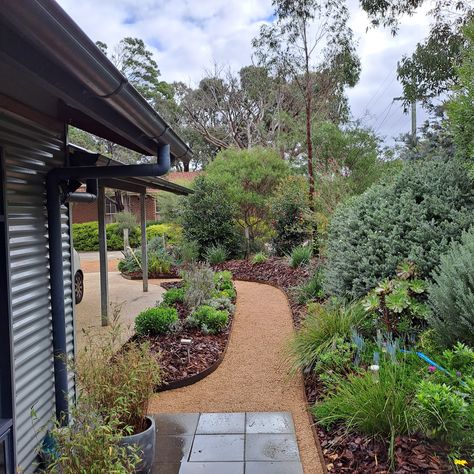 This job was done in 4 weeks, added a new compacted granetic sand path. This path added some more depth to the garden and made it easier for the client to move through out the garden. I raised the garden beds 100mm with corten steel, this adds a rustic look that ties into the native theme. overall very happy with out it turned out. #easylandscaping #frontyardlandscapingaustralian #simplefrontgardenideasaustralian #australiannativegardens Australian Native Garden, Plant Parent, Easy Landscaping, Native Garden, Australian Native, Corten Steel, Back Gardens, The Client, Back Garden