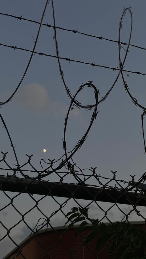 Barbed Wire Fence Aesthetic, Barbed Wire Aesthetic, Dark Fence, Wire Aesthetic, Barbed Wire Fence, Barbed Wire Fencing, Low Exposure, Wire Fence, Barbed Wire