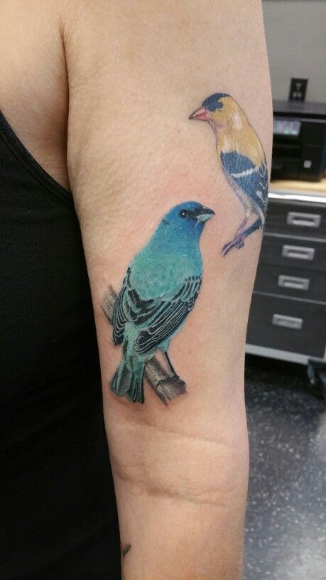 Indigo Bunting tattoo by Becky Ashcraft. Indigo Bunting Tattoo, Indigo Bunting, Tattoo Reference, Birds Tattoo, Song Bird, Tattoo You, Tattoo Art, Tattoos And Piercings, Style Board