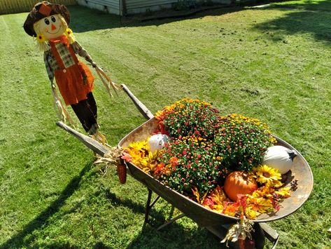 Wheelbarrow with mums, pumpkins, and fall foliage with scarecrow Outdoor Fall Decor, Halloween Pumpkins Carvings, Fall Outdoor Decor, Fall Outdoor, It's Fall, Fall Foliage, Autumn Home, Scarecrow, Fall Home Decor