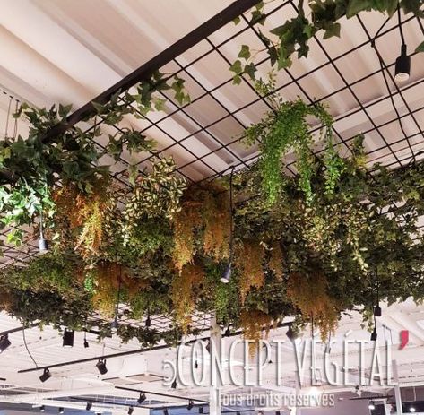 Wisteria Trellis, Resturant Design, Plant Structure, Plant Installation, Fake Plants Decor, Decoration Restaurant, Vintage Cafe, Ceiling Installation, Floral Studio