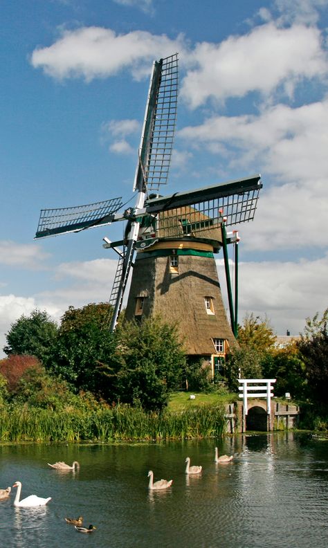 The Netherlands Netherland Aesthetic, Windmill Aesthetic, Windmill Netherlands, Windmill Wallpaper, Puppy Calendar, Dutch Aesthetic, Windmill Images, Netherlands Windmills, Windmill House