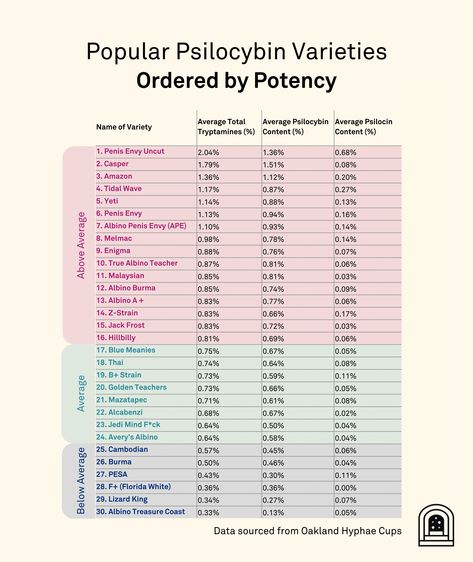 Shroom Trip Activities, Psylocibin Mushroom, Mushroom Names, Psilocybin Mushrooms, Mushroom Identification, Mushroom Species, Mushroom Varieties, Mushroom Grow Kit, Garden Paradise