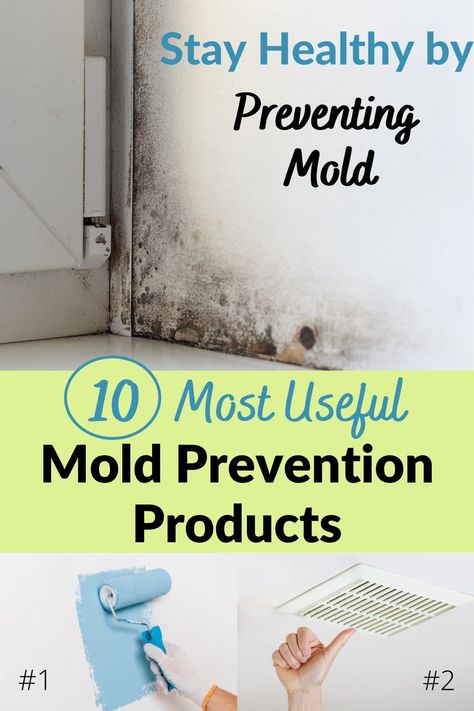 Mold was a huge problem for us. We moved and now I want to do everything I can to keep it from happening again. This was very helpful on my journey to keep healthy and away from mold. Natural Headache Relief, Mold Prevention, House Mold, Must Have Products, Natural Headache Remedies, Useful Products, Natural Healing Remedies, Natural Health Care, Headache Relief