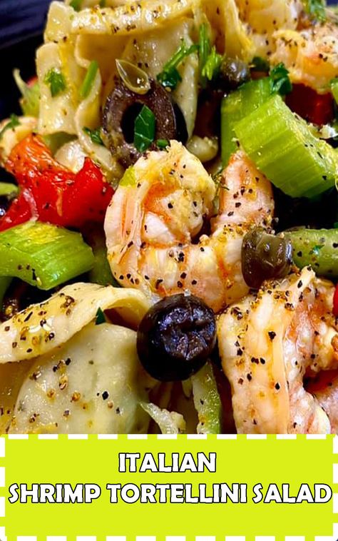 Italian shrimp tortellini pasta salad Shrimp And Tortellini Salad, Shrimp Pasta Salad With Italian Dressing, Shrimp Tortellini Salad, Shrimp And Tortellini Recipes, Shrimp Tortellini Recipes, Cheese Tortellini Pasta Salad, Pasta Salad With Shrimp, Shrimp Tortellini, Seafood Pasta Salad