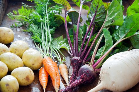 Carrot Varieties, Gardening Trends, Leafy Plants, Nutrition And Fitness, Sandy Soil, New Roots, Clay Soil, Growing Seeds, Organic Fertilizer