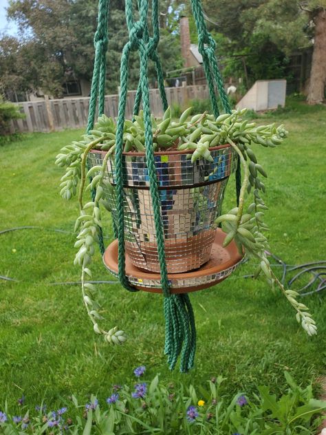 I converted a plain terracotta planter into a disco planter!💃 Disco Planter, Disco Ball Planter, Terracotta Planter, Disco Ball, Macrame Plant, Macrame Plant Hanger, Plant Hanger