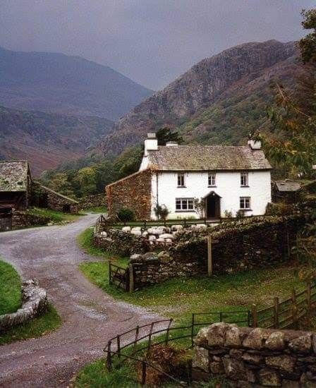 Places Pictures, Irish Country, York England, England And Scotland, English Cottage, Tree Farms, English Countryside, Cumbria, Lake District