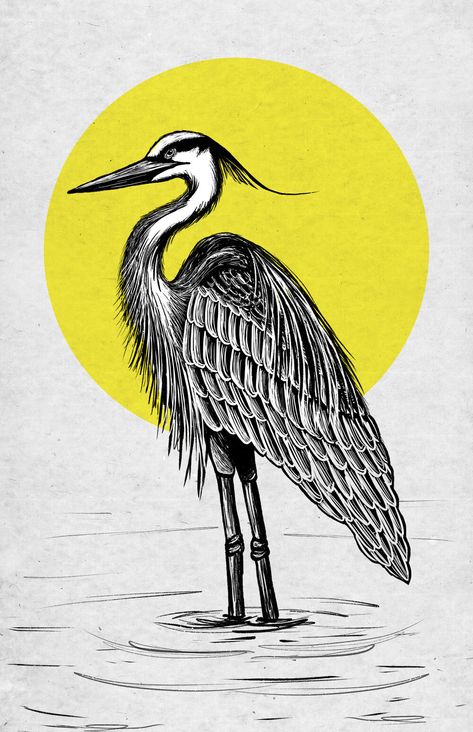 Black and white illustration of a Great Blue Heron, set against a yellow geometric sun. www.studio176.work Heron Logo, Heron Illustration, Geometric Sun, Illustration Elements, Heron Art, Deconstructivism, Art Hacks, Reference Art, Great Blue Heron