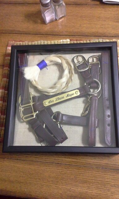 Sea Zhars Magic: halter and tail memorabilia in a 12"×12" shadow box frame Shadow Box Horse Memorial, Horse Tail Memorial Ideas, Horse Memorial Shadow Box Ideas, Horse Shadow Box Ideas, Horse Tail Memorial, Horse Shadow Box, Horse Shadow, Horse Remembrance, Horse Memory