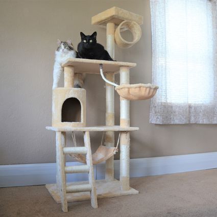 Cat Tower Plans, Best Cat Tree, Diy Cat Tower, Cat Tree Plans, Cat Tree Designs, Cat Climbing Tower, Large Cat Tree, Cool Cat Trees, Diy Cat Tree