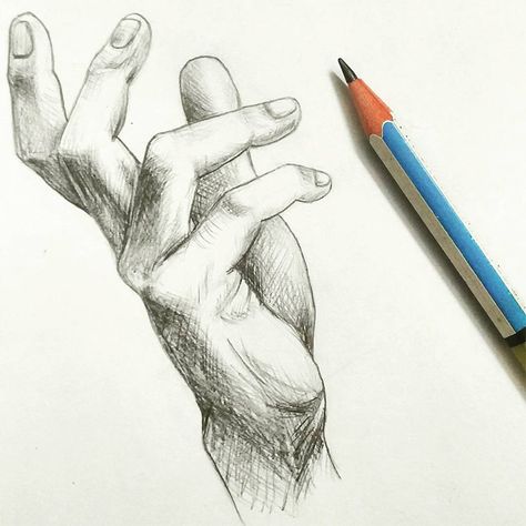 100+ Drawings Of Hands: Quick Sketches & Hand Studies Hand Shading, Hand Pencil Drawing, Hand Outline, Tree Drawings Pencil, Draw Hands, Drawing Hair, Art Sketches Pencil, Free Hand Drawing, Small Drawings