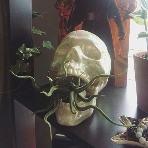 Dorm Things, Ceramic Skull, Whats Wallpaper, Goth Garden, Earthy Bedroom, Gothic Garden, Ceramic Texture, Dark Home Decor, Cerámica Ideas