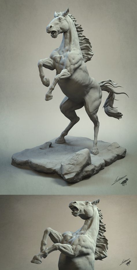 Horse Anatomy Study, Vizsla Art, New Pose, Anatomy Sculpture, Horse Anatomy, Animal Study, My Horse, Anatomy Study, 3d Modelle