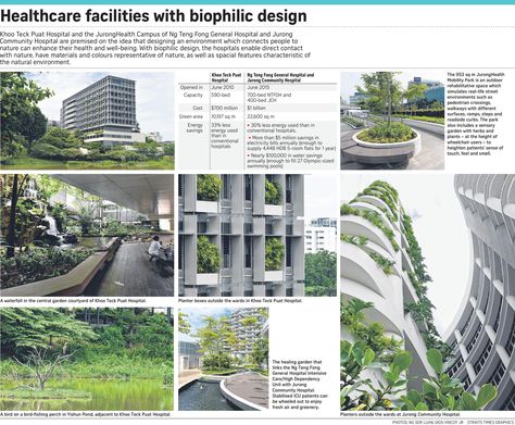 Hospitals that seek to heal with nature, Health News & Top Stories - The Straits Times Biophilic Hospital, Architecture Student Portfolio, Biophilic Architecture, Hospital Architecture, Community Hospital, Eco Architecture, Biophilic Design, Architecture Concept Drawings, Landscape Concept