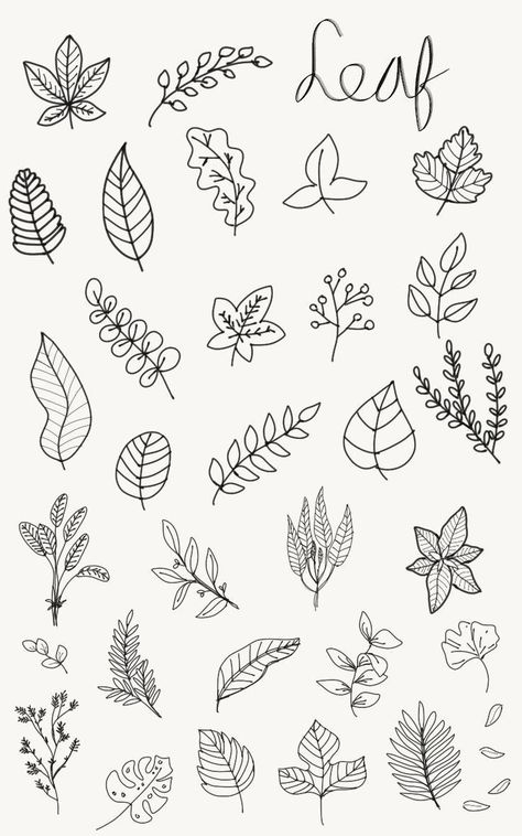 Doodle Leaves Leaf Design, Small Leaves Drawing, Leaves Doodle Art, Tattoo Leaf Designs, Nature Doodles Simple, Flower Cluster Drawing, Simple Botanical Drawings, Leaf Doodle Art, Simple Leaf Drawing