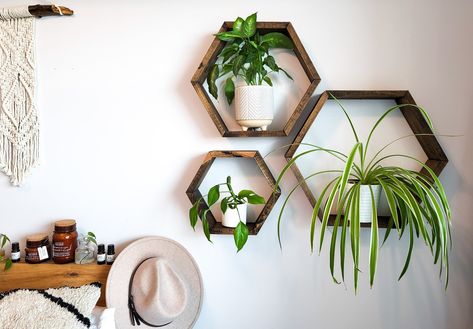 Shelves Wall Decor, Minwax Wood Stain, Geometric Shelf, Honeycomb Shelves, Geometric Shelves, Wood Company, Hexagon Shelves, Space Bedroom, Shelves Wall