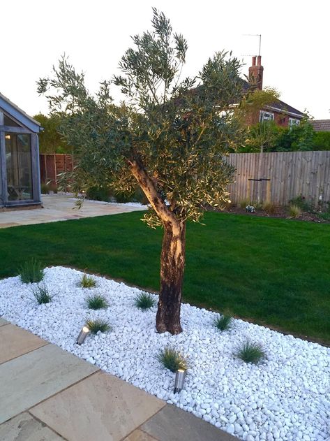 White Gravel Garden Ideas, White Stone Garden Ideas Landscaping, White Rock Garden Landscaping, Pebble Garden Ideas Landscaping, White Garden Pebbles, White Stone Backyard, White Stones Garden Ideas, White Pebbles Landscape, White Gravel Garden