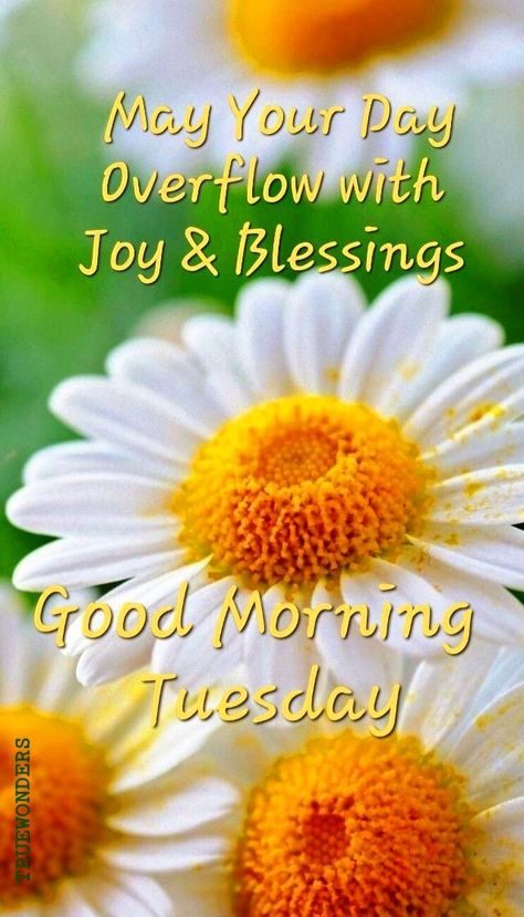 Tuesday Blessings Mornings, Good Morning Tuesday Blessings, Tuesday Morning Wishes, Good Morning Tuesday Wishes, Wednesday Morning Quotes, Happy Tuesday Morning, Happy Sabbath Images, Tuesday Quotes Good Morning, Tuesday Blessings