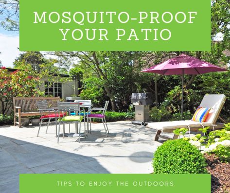 Mosquito-Proof Your Patio Part I | The Woodlands Township Environmental Services Mosquito Proof Patio, Mosquito Dunks, Plant Saucer, Perfect Dark, Rain Barrel, The Woodlands, Plant Roots, Backyard Fun, Backyard Oasis