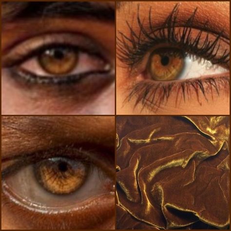 Bronze Eye Color, Copper Eye Color, Cognac Eyes Color, Honey Eye Color, Amber Eyes Dark Skin, Gold Hazel Eyes, Amber Eyes Men, Amber Green Eyes, Cognac Eyes