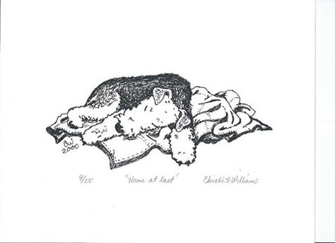 Home at last Airedale rescue card Airedale Terrier Drawing, Airedale Tattoo, Airedale Terrier Tattoo, Terrier Tattoo, Black Schnauzer, Airedale Terriers, Lakeland Terrier, Welsh Terrier, Puppy Kisses