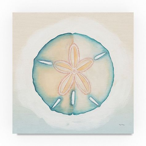 Bedroom Drawings, Sand Dollar Tattoo, Painted Sand Dollars, Costal Bedroom, Sand Dollar Art, Dollar Art, Square Canvas Art, Tiki Tattoo, Sand Dollar Ornament