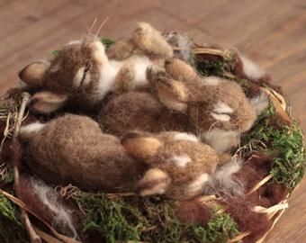 Eastern Cottontail, Rabbit Nest, Three Bunnies, Cottontail Rabbit, Felted Crochet, Hidden In Plain Sight, Needle Felting Diy, Woodland Nursery Theme, Wool Animals