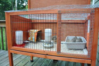 Show me you quail pens!!! - Page 55 Pet Quail Cage, Quail Care, Quail Cage With Egg Roll Out, Quail Grow Out Pen, Quail Raising, Diy Button Quail Cage, Quail Farming, Gambles Quail, Quail Pen