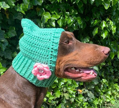 crochet a doggy snood! Dog Neck Warmer, Pet Clothes Patterns, Snood Pattern, Dog Snood, Cowl Crochet, Foundation Single Crochet, Back Post Double Crochet, Front Post Double Crochet, Small Dog Clothes