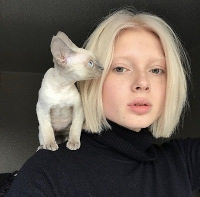 Piercing _ Piercings -Piercigns Ideas - Daith piercings ear piercing daith piercing aftercare infected piercing Cute Devon Rex Cats, Devon Rex Aesthetic, Infected Piercing, Ear Piercing Daith, Devon Rex Cat, Daith Piercings, Piercing Daith, Hairless Cats, Piercings Ear