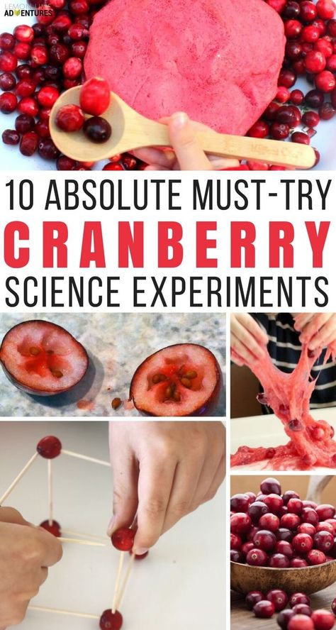 10 Absolute Must-Try Cranberry Science Experiments. This is a super fun cranberry science experiment that the whole family will love. Your kids will love STEM activities. This post includes cranberry slime activities, science experiments and more. Slime Activities, Thanksgiving Science, Thanksgiving Stem Activities, Preschool November, Thanksgiving Stem, Steam Kids, Cranberry Thanksgiving, Preschool Weather, Stem Experiments