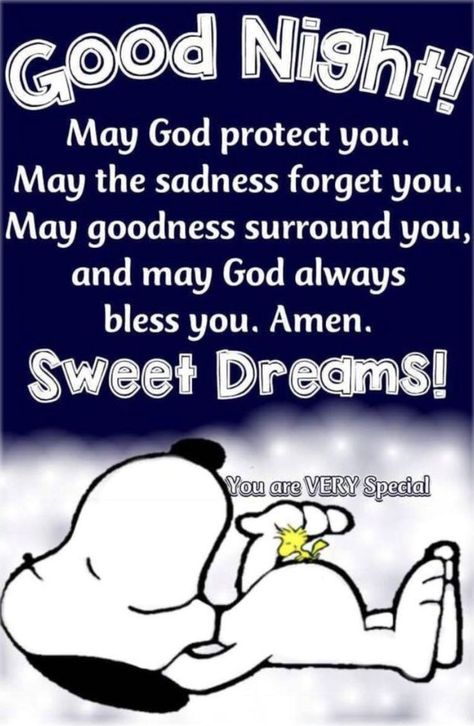 Charlie Brown Quotes, Snoopy Funny, Slaap Lekker, Good Night Prayer, Snoopy Quotes, Good Night Blessings, Night Messages, Good Night Greetings, Good Night Messages