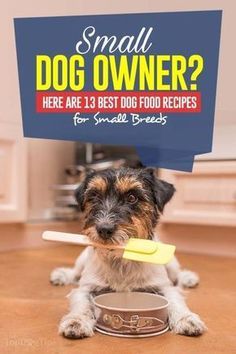 Diy Dog Food, Make Dog Food, Dog Biscuit Recipes, Basic Dog Training, Food Dog, Healthy Dog Food Recipes, Healthy Dog Treat Recipes, Best Dog Food, Puppy Food