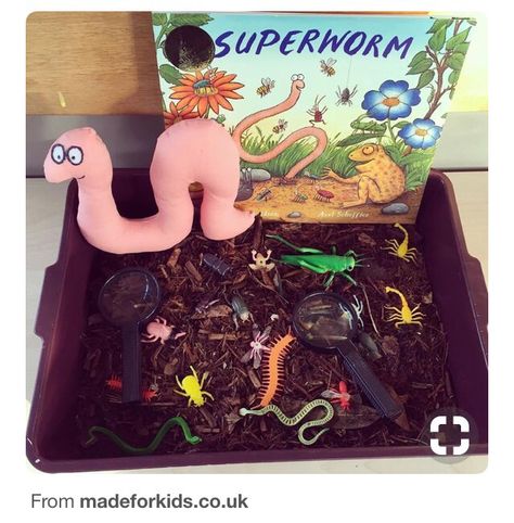 Mini Beasts Learning Links; Worms: – Magical Imaginations Minibeasts Eyfs, Diarama Ideas, Mini Beasts, Forest School Activities, Julia Donaldson, Eyfs Activities, Nursery Activities, Story Activities, Book Baskets