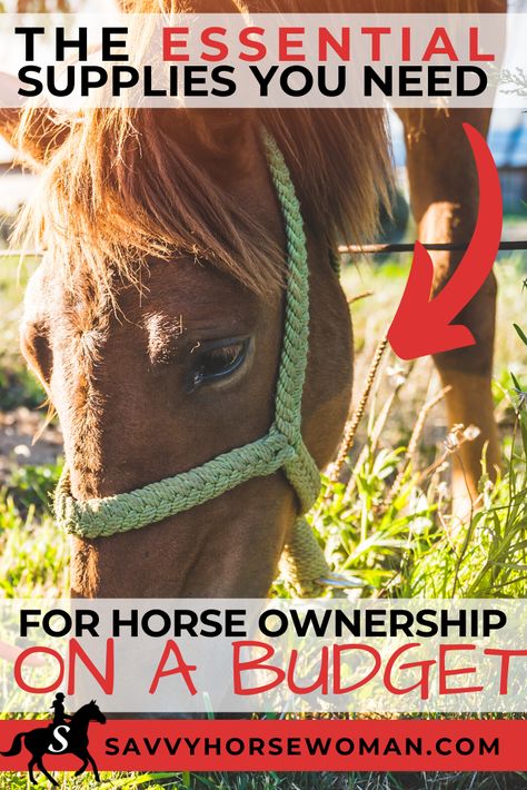 Horse Supplies on a Budget: The Bare Essentials You Need for Your New Horse - Savvy Horsewoman Sorrel Horse Tack Colors, Horse Things To Buy, Homestead Horses, Diy Horse Fencing, Horse Guide, Horse Lifestyle, Livestock Fence, Horse Tack Diy, Horse Ownership