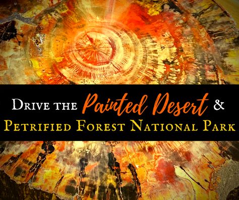 National Park Passport, Petrified Forest National Park, Viking Cruises Rivers, Visit Arizona, Painted Desert, Arizona Road Trip, Petrified Forest, Desert Painting, Drive Through