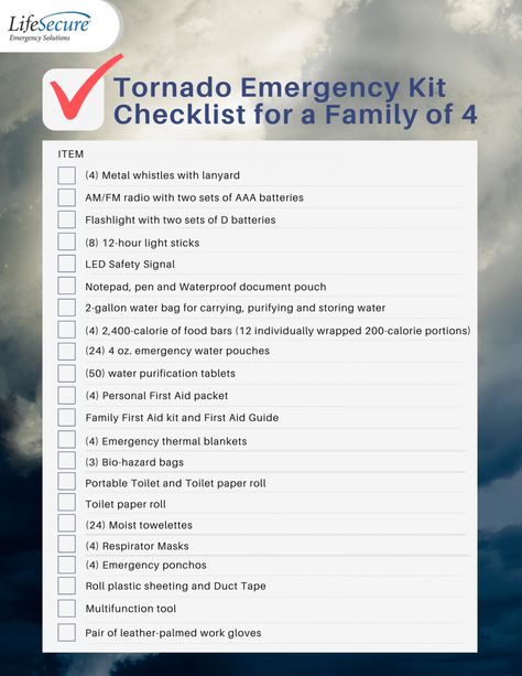 Tornado Preparedness Kit, Tornado Preparedness, Emergency Action Plan, Storm Preparedness, Emergency Go Bag, Survival Skills Emergency Preparedness, Emergency Binder, Emergency Prepardness, Action Plan Template