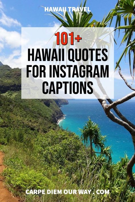 The best Hawaii Instagram captions for your Hawaii Holiday Photos! Quotes about Hawaii and Hawaiian Islands. Hawaiian Quotes | Hawaiian sayings | Hawaiian sayings beautiful | Inspirational quotes about Hawaii | beach quotes about Hawaii | Hawaii instagram captions funny Hawaii Instagram Captions, Hawaii Quotes, Hawaiian Quotes, Hawaii Instagram, Vacation Captions, Hawaii Holiday, Funny Instagram Captions, Travel Captions, Vacation Quotes